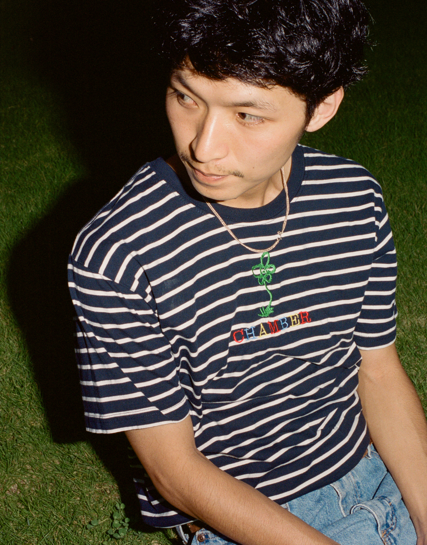 primary flower stripe T -M